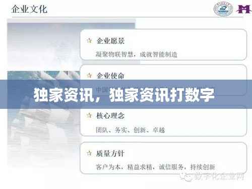 独家资讯,独家资讯打数字