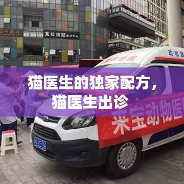 猫医生的独家配方，猫医生出诊 