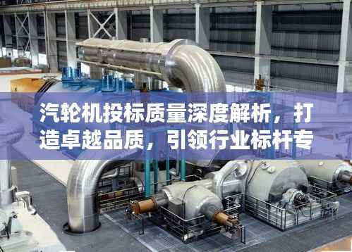 汽轮机投标质量深度解析,打造卓越品质,引领行业标杆专题报告