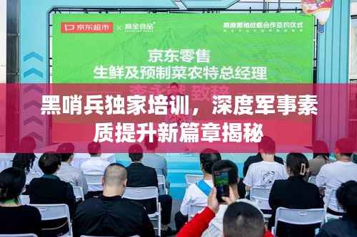 黑哨兵独家培训,深度军事素质提升新篇章揭秘