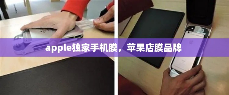apple独家手机膜，苹果店膜品牌 