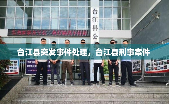 台江县突发事件处理，台江县刑事案件 