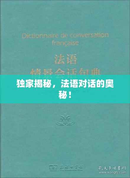 独家揭秘，法语对话的奥秘！