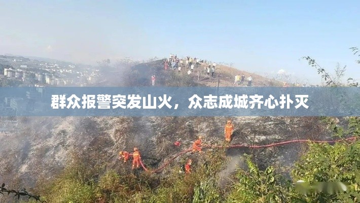 群众报警突发山火，众志成城齐心扑灭