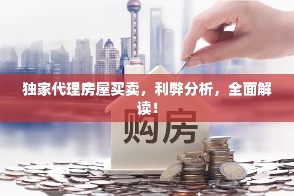 独家代理房屋买卖，利弊分析，全面解读！