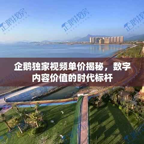 企鹅独家视频单价揭秘，数字内容价值的时代标杆
