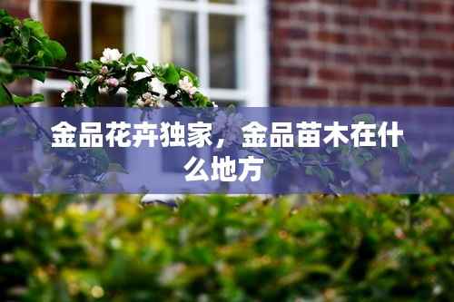 金品花卉独家，金品苗木在什么地方 