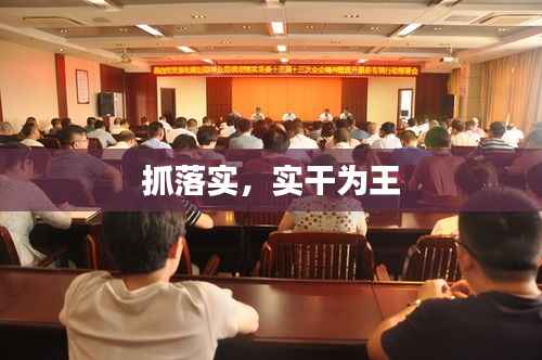 抓落实，实干为王