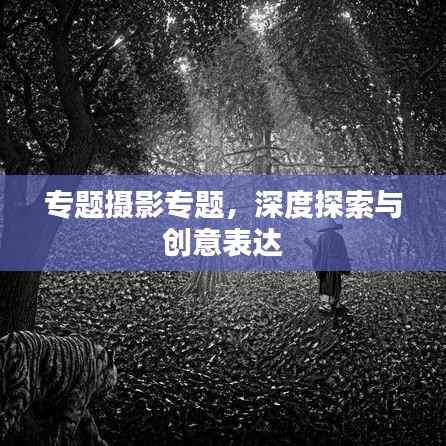 专题摄影专题，深度探索与创意表达