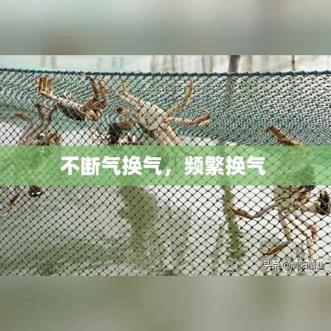 不断气换气,频繁换气