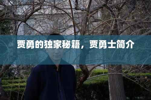 贾勇的独家秘籍,贾勇士简介