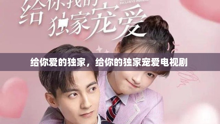 给你爱的独家，给你的独家宠爱电视剧 