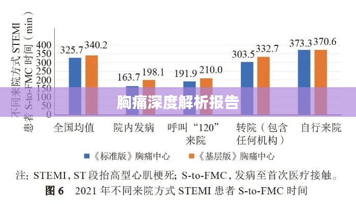 胸痛深度解析报告