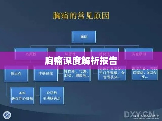 胸痛深度解析报告