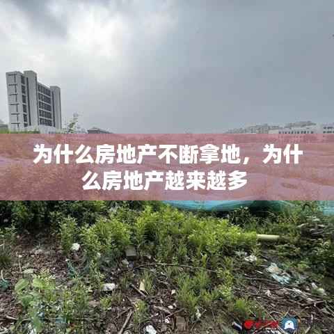 鞭驽策蹇 第5页