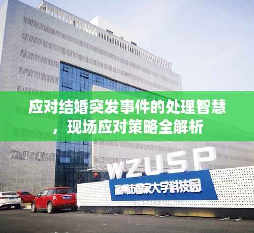 应对结婚突发事件的处理智慧,现场应对策略全解析