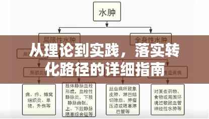 从理论到实践，落实转化路径的详细指南