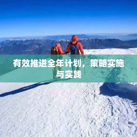 有效推进全年计划，策略实施与实践