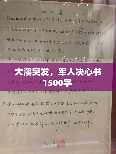大溪突发，军人决心书1500字 