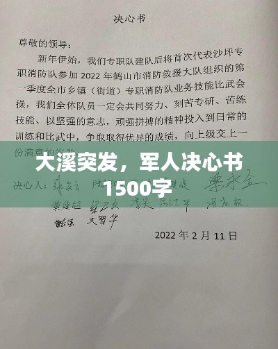 大溪突发,军人决心书1500字