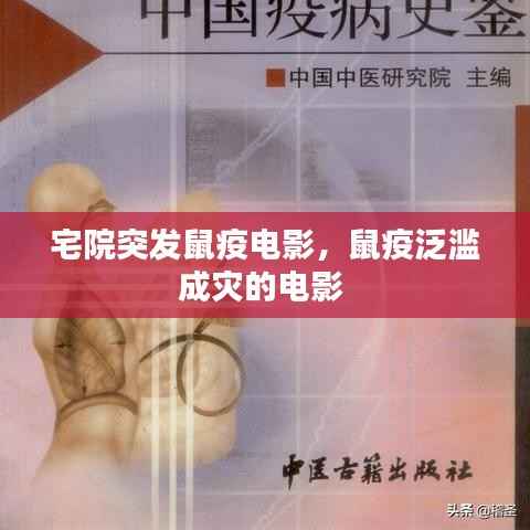 宅院突发鼠疫电影，鼠疫泛滥成灾的电影 