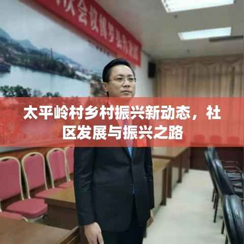 太平岭村乡村振兴新动态,社区发展与振兴之路
