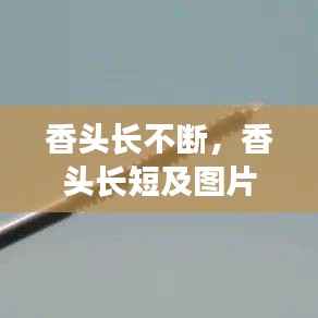 香头长不断,香头长短及图片