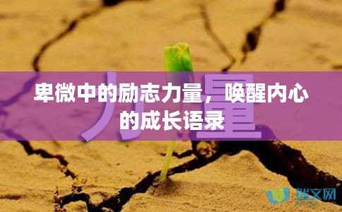 卑微中的励志力量，唤醒内心的成长语录