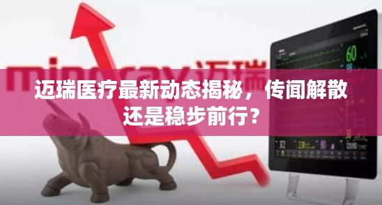 迈瑞医疗最新动态揭秘,传闻解散还是稳步前行?