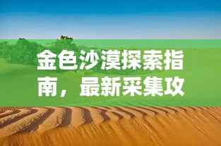 金色沙漠探索指南，最新采集攻略图，揭秘无尽财富与绝美景色