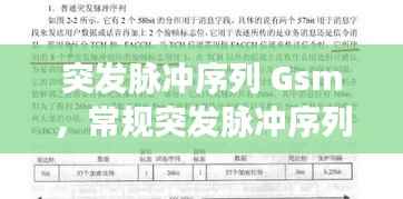 突发脉冲序列 Gsm,常规突发脉冲序列中每个不同比特的作用