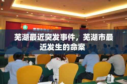 芜湖最近突发事件，芜湖市最近发生的命案 