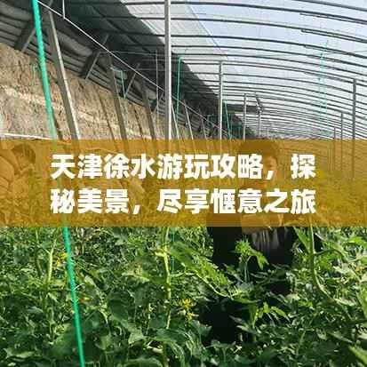 天津徐水游玩攻略，探秘美景，尽享惬意之旅！