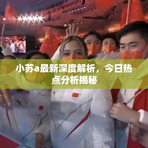 小苏a最新深度解析，今日热点分析揭秘