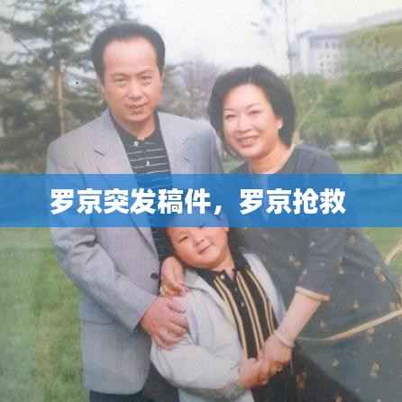 罗京突发稿件，罗京抢救 