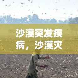 沙漠突发疾病,沙漠灾害