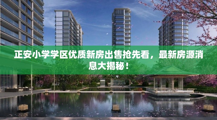 正安小学学区优质新房出售抢先看，最新房源消息大揭秘！