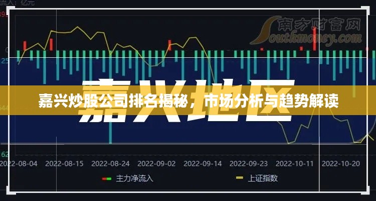 嘉兴炒股公司排名揭秘，市场分析与趋势解读