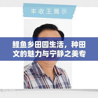 鲤鱼乡田园生活,种田文的魅力与宁静之美专题分享
