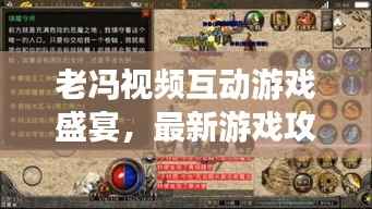老冯视频互动游戏盛宴,最新游戏攻略大揭秘!