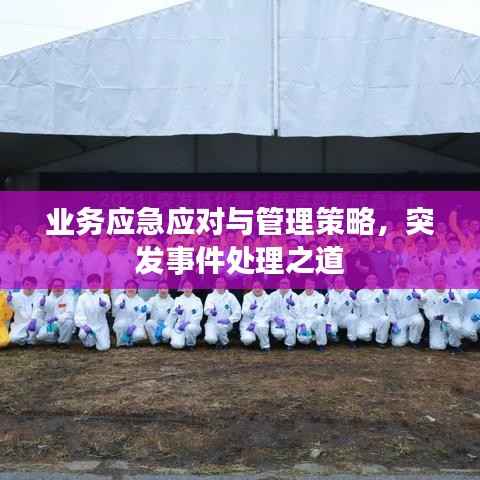 业务应急应对与管理策略，突发事件处理之道