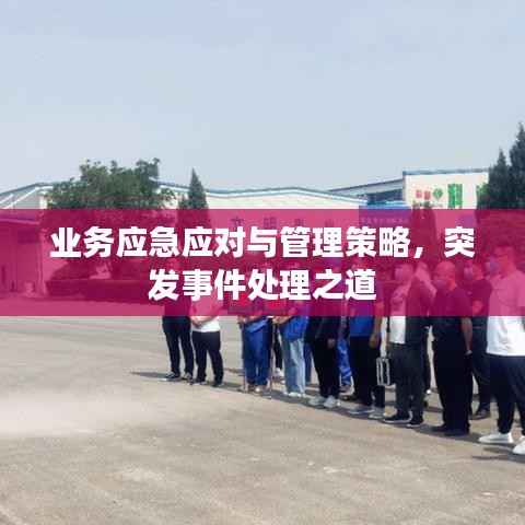 业务应急应对与管理策略,突发事件处理之道