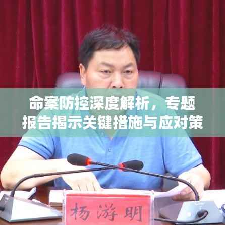命案防控深度解析，专题报告揭示关键措施与应对策略
