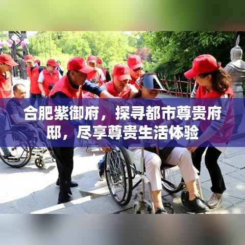 合肥紫御府，探寻都市尊贵府邸，尽享尊贵生活体验