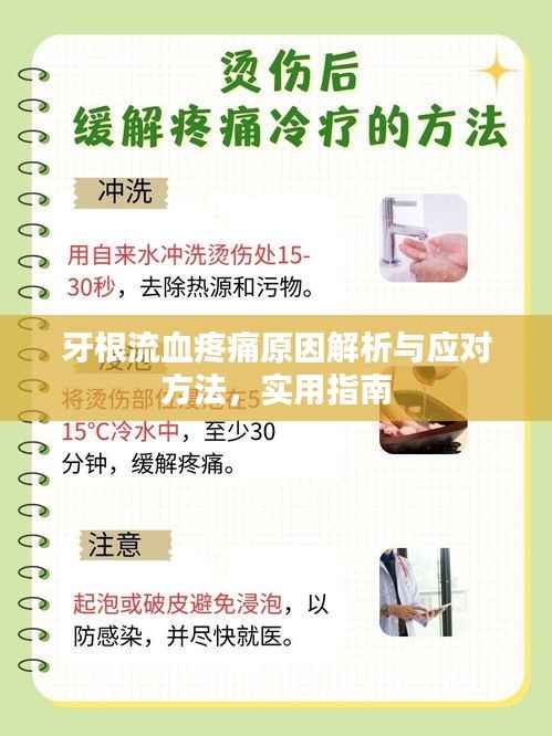 牙根流血疼痛原因解析与应对方法，实用指南