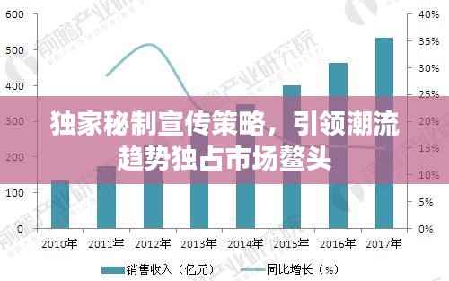 独家秘制宣传策略，引领潮流趋势独占市场鳌头