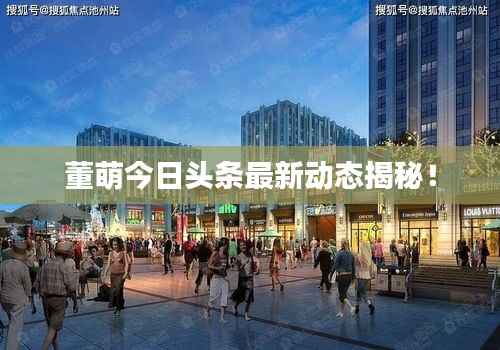董萌今日头条最新动态揭秘!