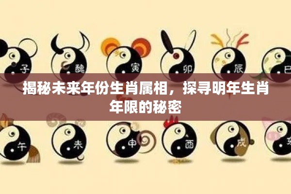 揭秘未来年份生肖属相，探寻明年生肖年限的秘密