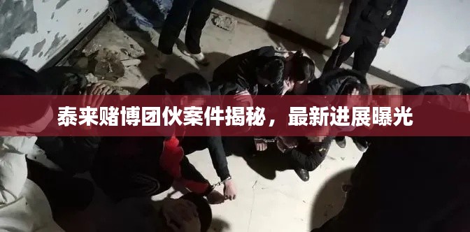 泰来赌博团伙案件揭秘，最新进展曝光