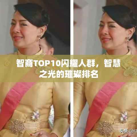 智商TOP10闪耀人群，智慧之光的璀璨排名